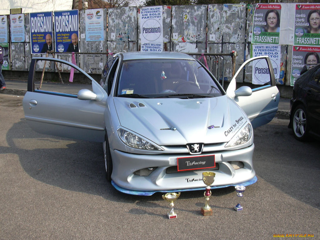 peugeot, 206, 